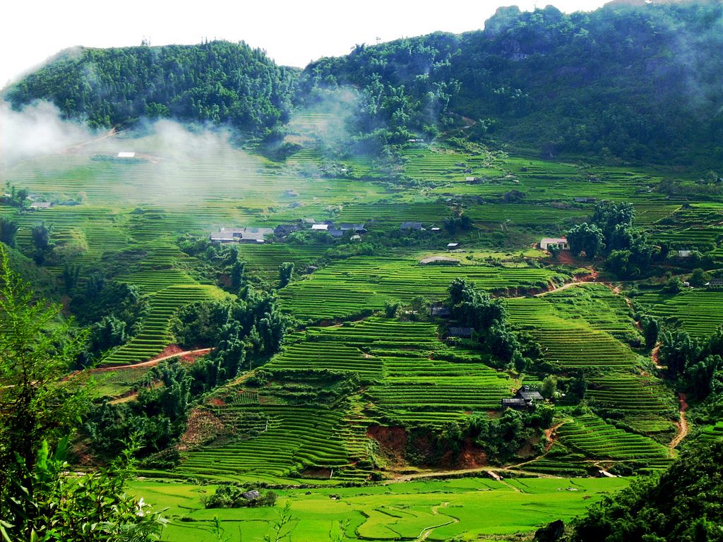 Từ ký ức bếp núi rừng